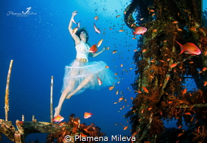 Dancing with the fishes by Plamena Mileva 